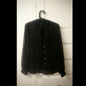 Long Sleeve Sheer Button Down Blouse